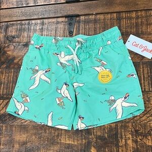 Cat & Jack Kids Swim Trunks - Teal with Duck Print